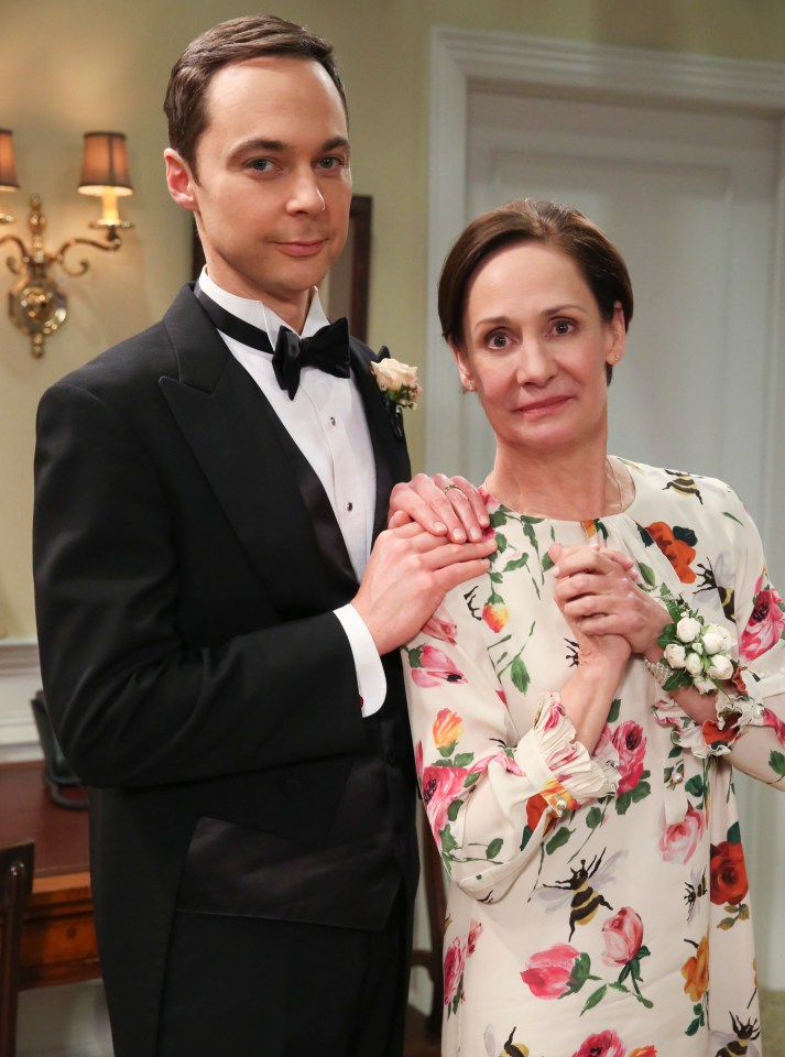 Jim played brainbox Sheldon Cooper in The Big Bang Theory