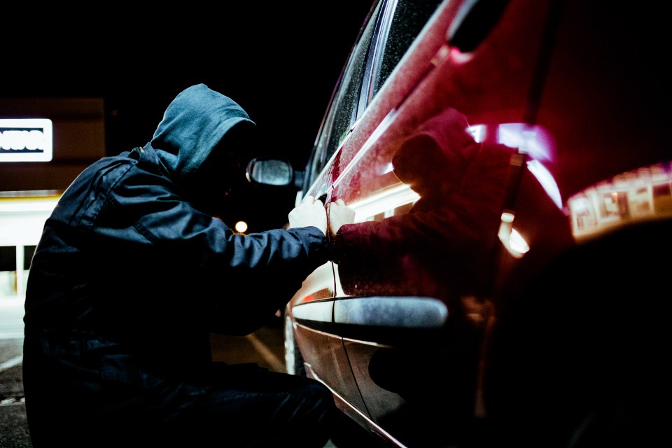 Car thefts rose by a quarter last year, shock data has revealed