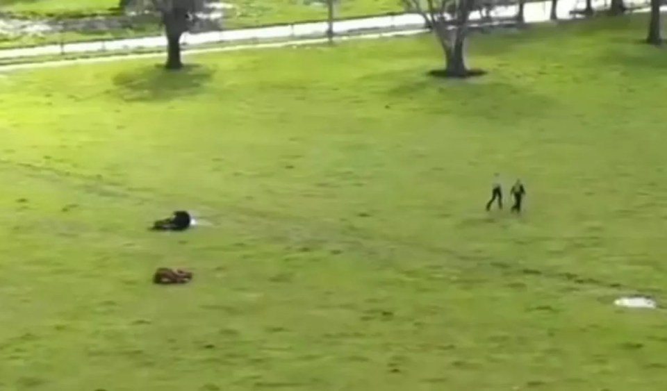 a couple of people are laying on the grass in a park .