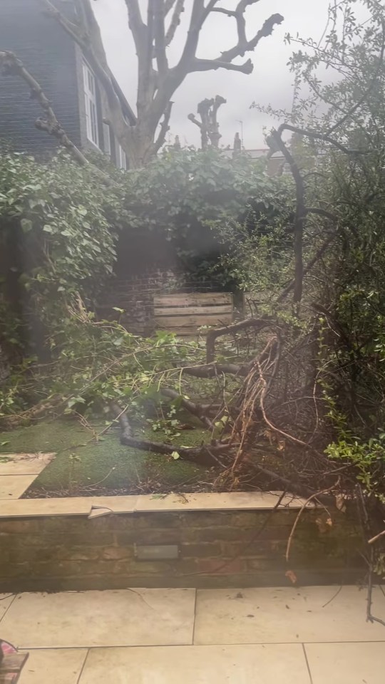 Storm-damaged garden with fallen branches.