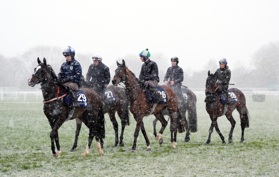 Five racehorses and their jockeys walking in the snow.