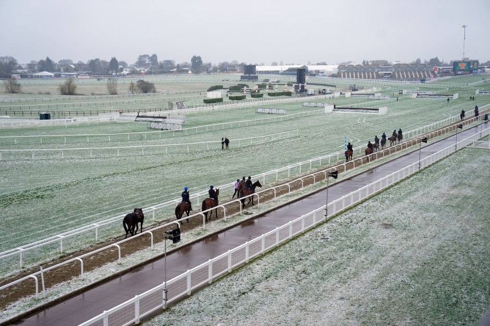 Horses and riders on a snow-covered racecourse.