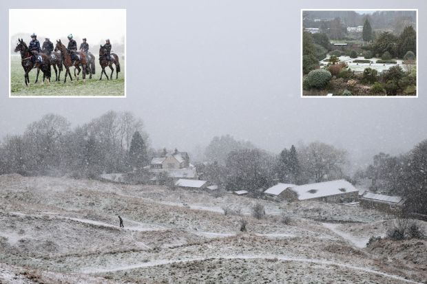 An image collage containing 3 images, Image 1 shows Snow falling on a snow-covered landscape with houses and a person walking, Image 2 shows Five racehorses and their jockeys walking in the snow, Image 3 shows Snow falling on a garden and street