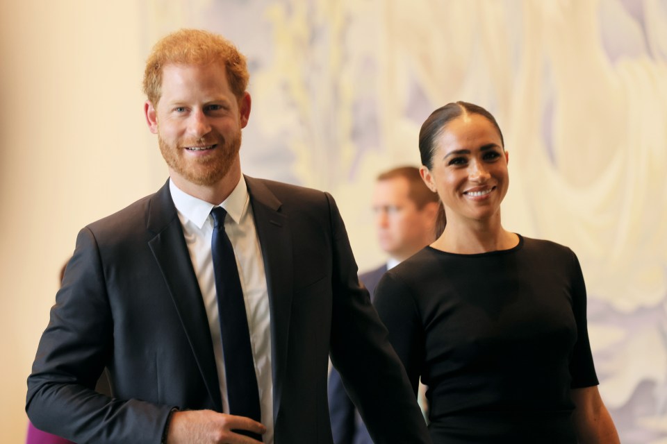 Prince Harry and Meghan Markle at the United Nations.