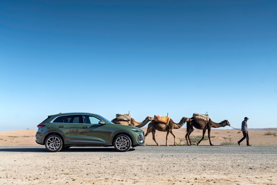 A green SUV parked on a desert road next to a camel caravan.