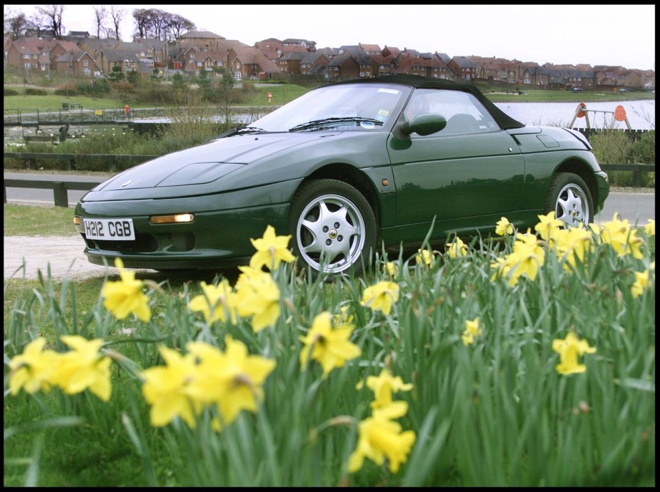 Dark green Lotus Elan SE Turbo parked in a field of daffodils.
