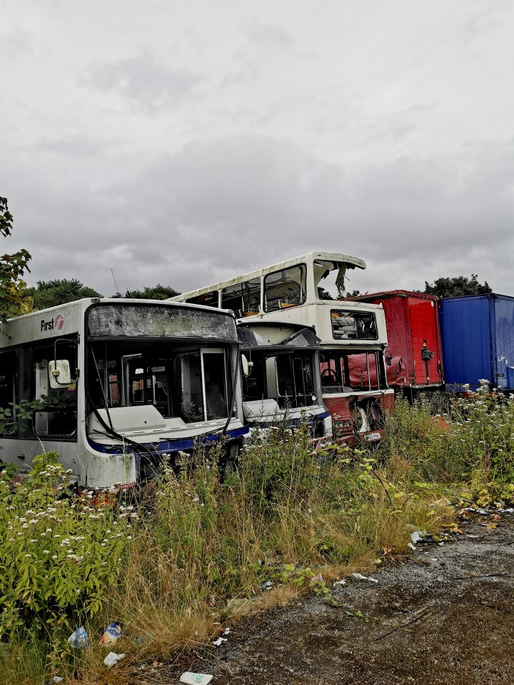 Abandoned buses in overgrown field.