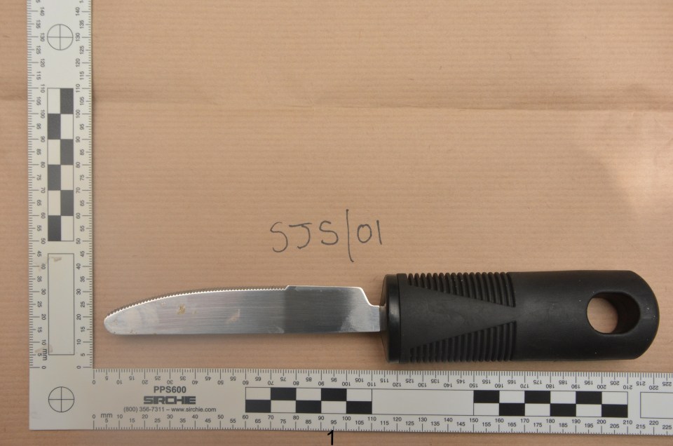 Photograph of a butter knife on a brown surface, next to a ruler.