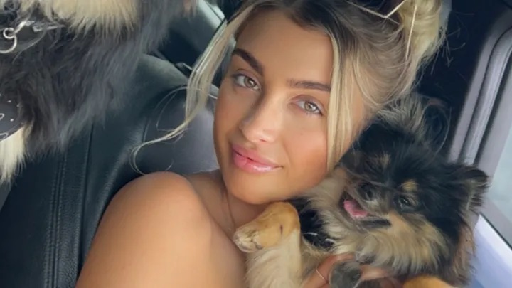 Woman holding two small dogs in a car.