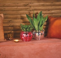 Two plants in metallic pots on a patio setting.
