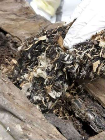 Close-up of a mummy's decayed textile wrappings.