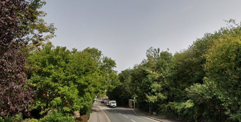 Road lined with trees and a bus stop.